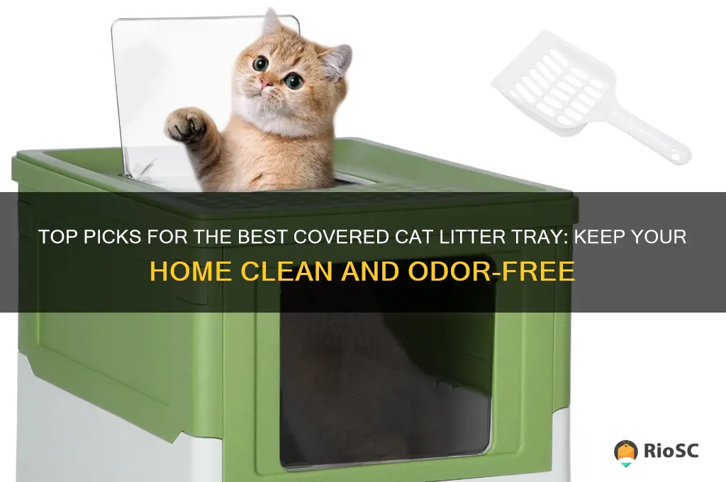 best covered cat litter tray