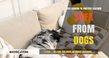 Ultimate Guide to Dog-Proof Sofa Covers: Protect Your Leather Couch from Scratches and Stains