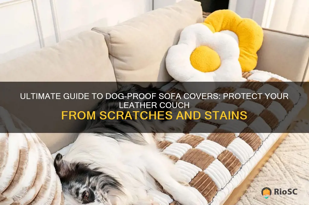 best covers to protect leather sofa from dogs