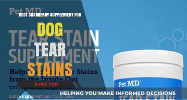 Effective Cranberry Supplements to Reduce Dog Tear Stains: Top Picks for Clearer Eyes