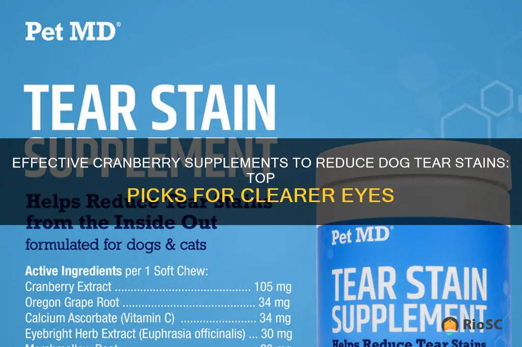 best cranberry supplement for dog tear stains