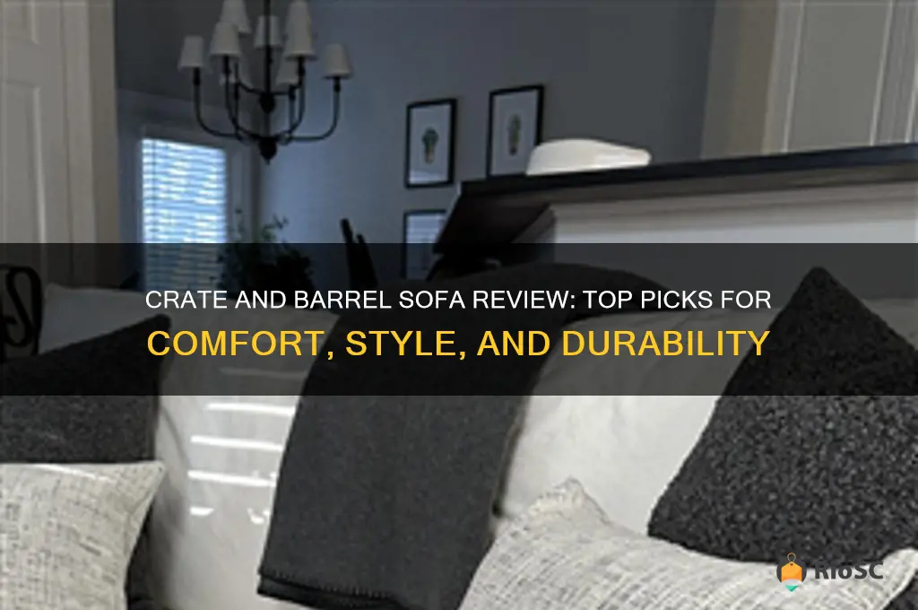 best crate and barrel sofa review