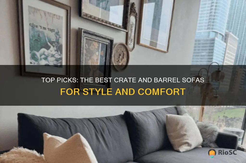 best crate and barrel sofa