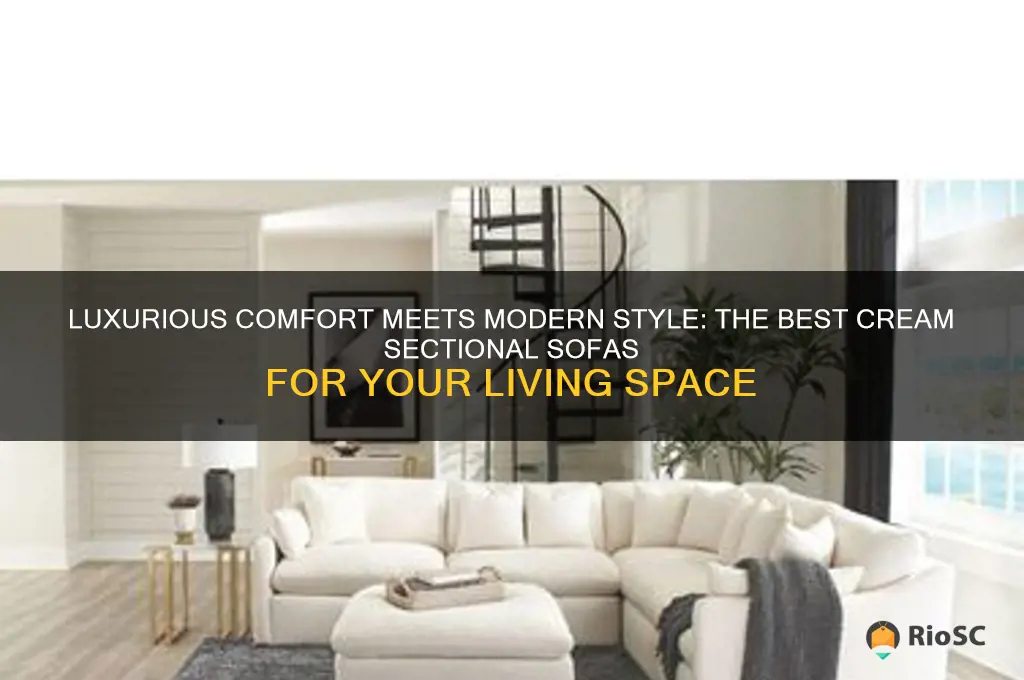 best cream sectional sofa