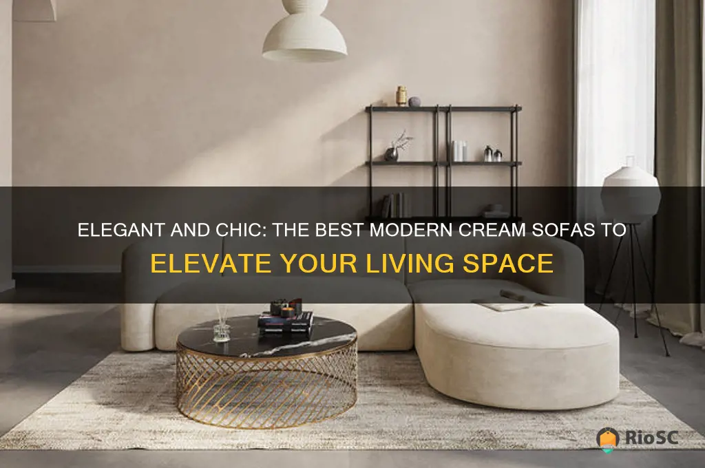 best cream sofas modern