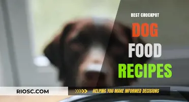Delicious and Nutritious: The Ultimate Guide to Crockpot Dog Food Recipes