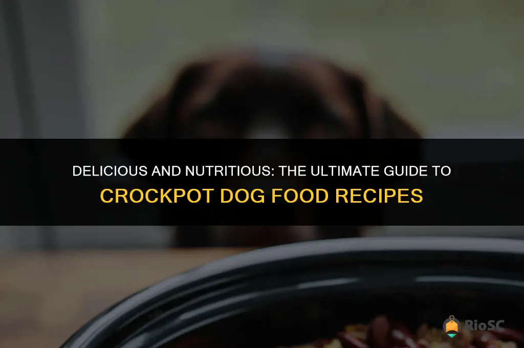best crockpot dog food recipes