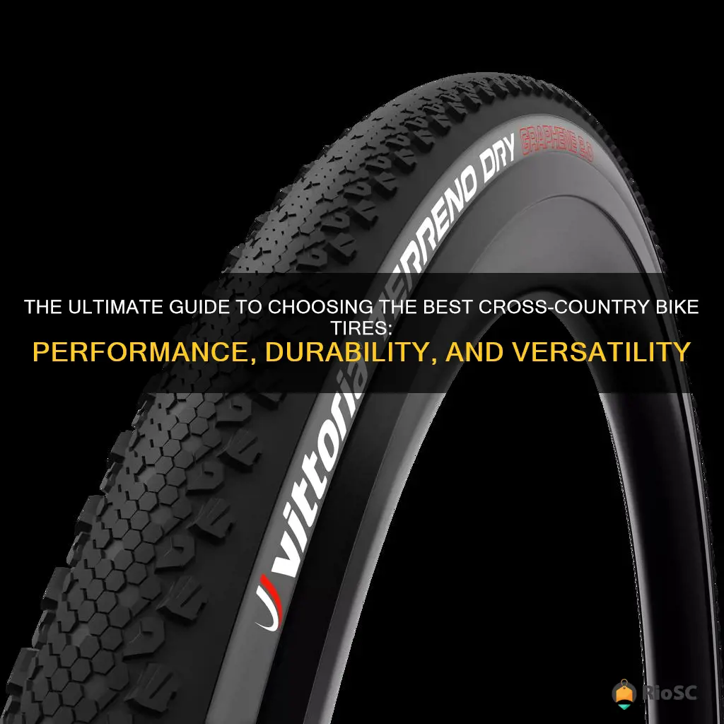 best cross country bike tires