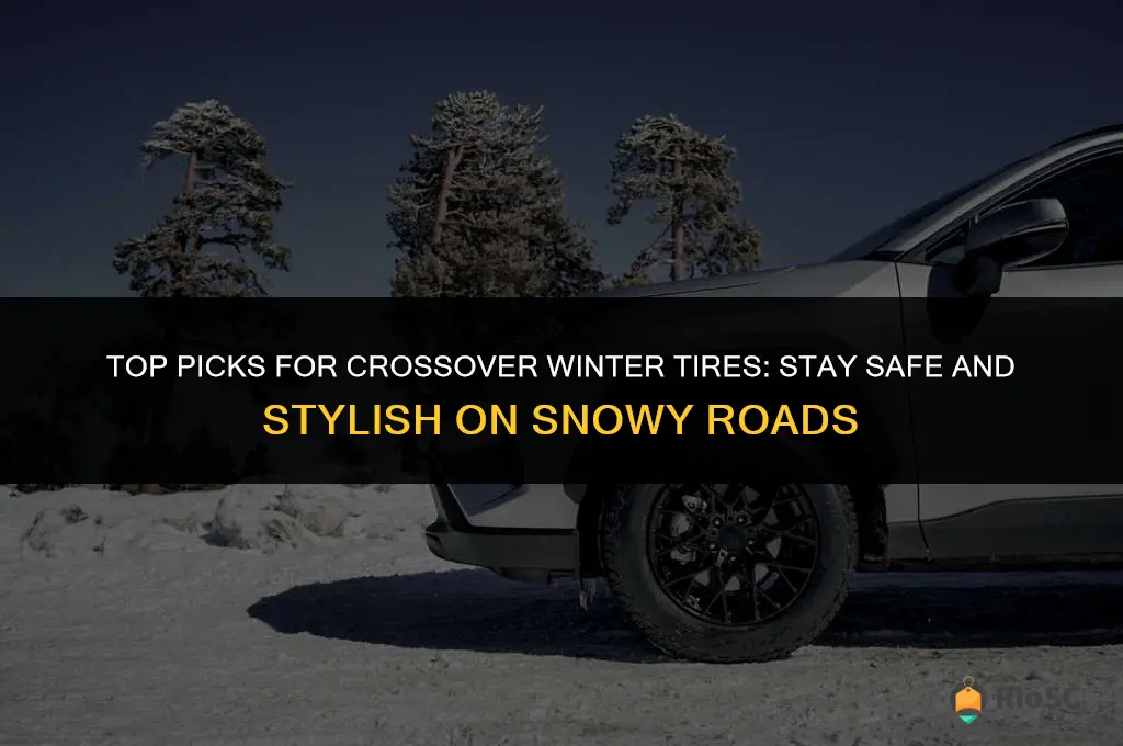 best crossover winter tires