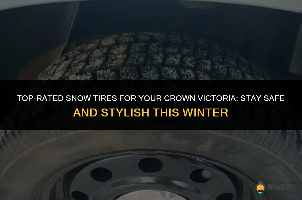 best crown victoria snow tires
