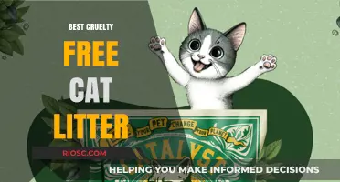 Purr-fectly Ethical: Top Cruelty-Free Cat Litter Options for Conscious Pet Owners