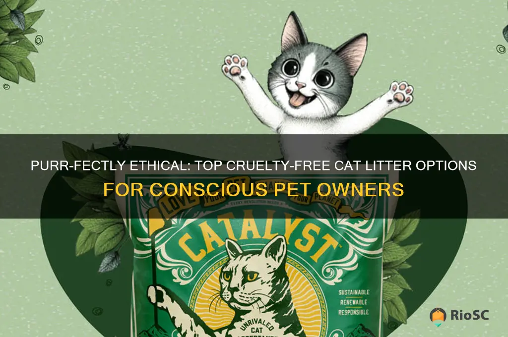 best cruelty free cat litter