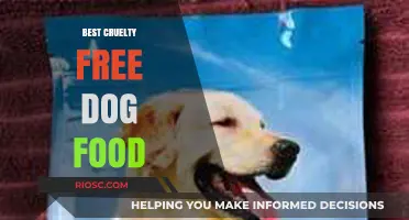 Top Picks for Compassionate Canines: The Best Cruelty-Free Dog Food Options
