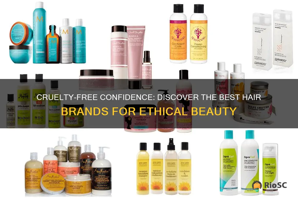 best cruelty free hair brands