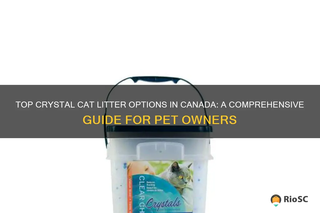 best crystal cat litter canada