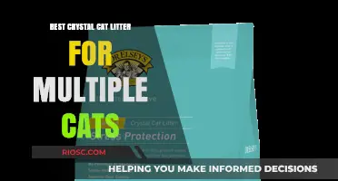 Top Crystal Cat Litter Options for Multi-Cat Households: Keep Your Home Fresh and Clean