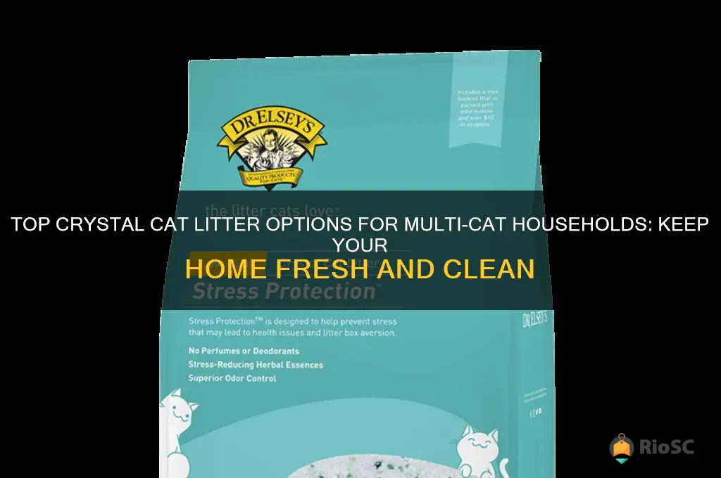 best crystal cat litter for multiple cats