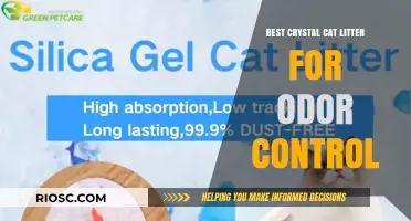 Top Crystal Cat Litter Options for Superior Odor Control and Freshness