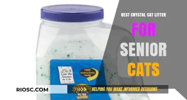 Top Crystal Cat Litter Options for Senior Cats: Comfort, Odor Control, and Easy Maintenance
