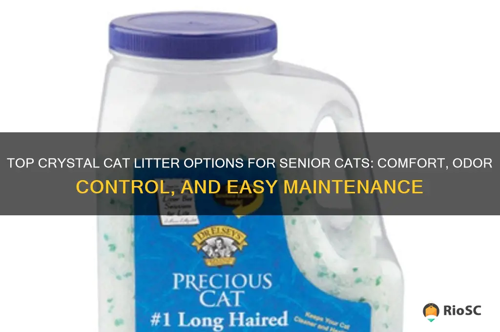 best crystal cat litter for senior cats