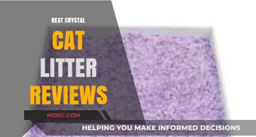 Top-Rated Crystal Cat Litter: Expert Reviews and Recommendations for a Cleaner, Fresher Home