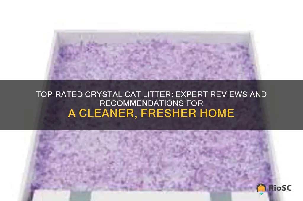 best crystal cat litter reviews