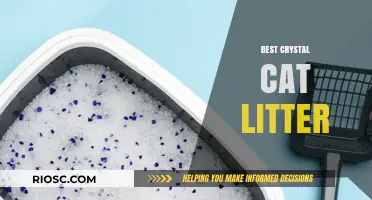 Top Crystal Cat Litter Options: Unmatched Absorption and Odor Control for Your Feline Friend