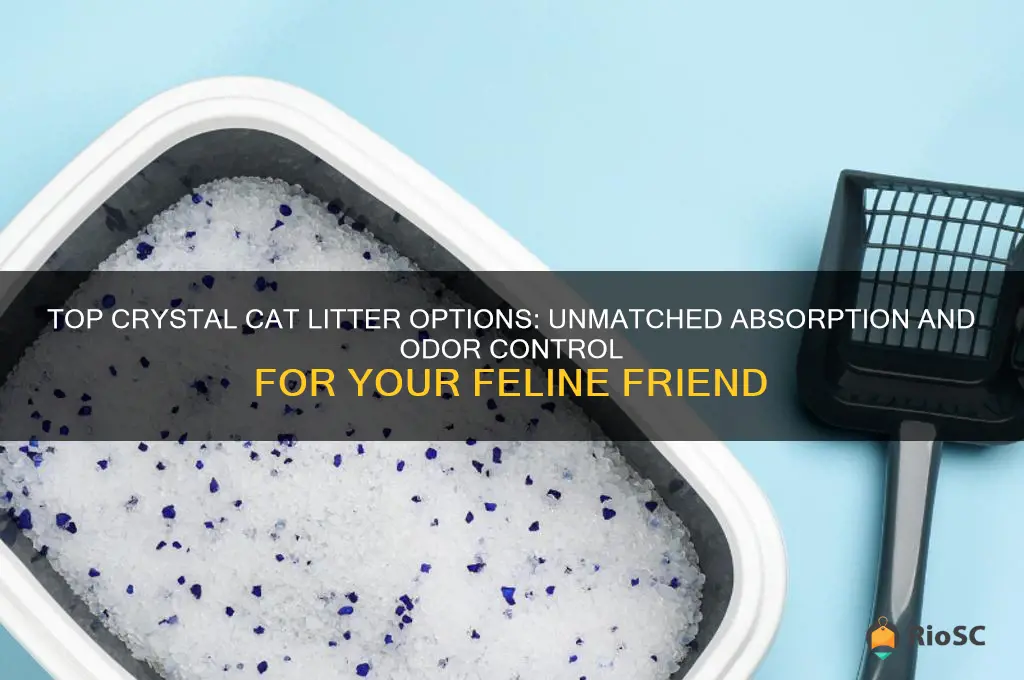 best crystal cat litter