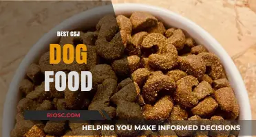 Top Picks for Your Furry Friend: The Best CSJ Dog Food Options