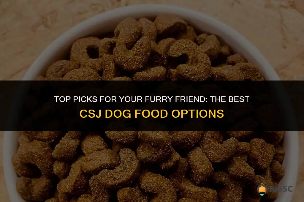 best csj dog food