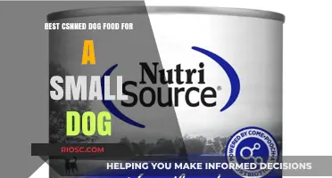 Top-Rated Canned Dog Food Options for Your Small Companion