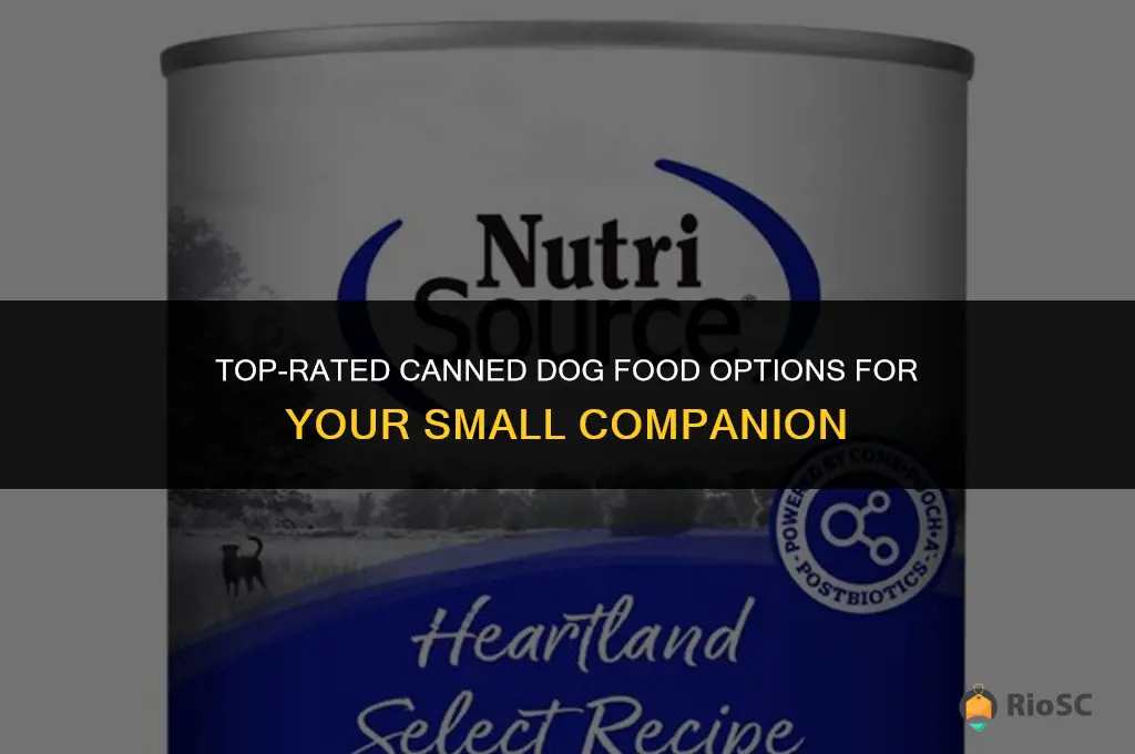best csnned dog food for a small dog