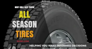 Top-Rated All-Season Tires for Mid-Size Trucks: Performance, Durability, and Value