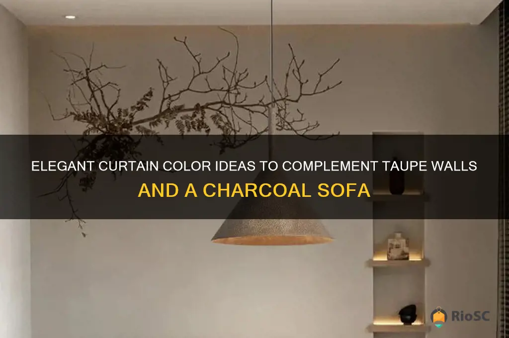 best curtain colors with taupe walls and charcoal sofa