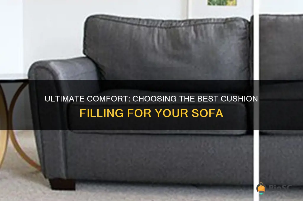 best cushion filling for sofa