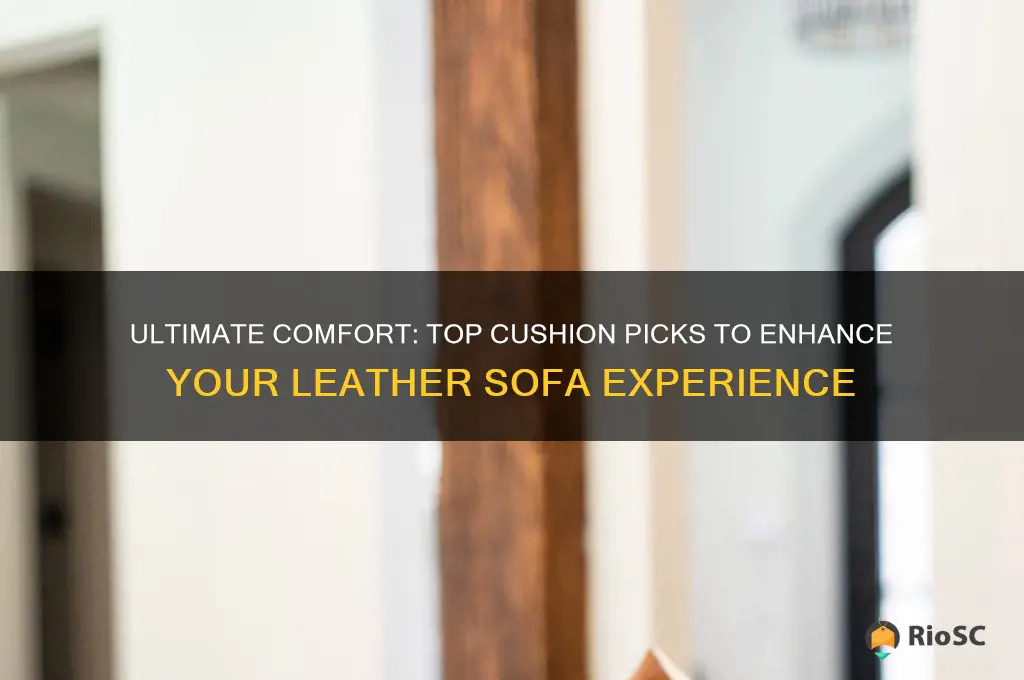 best cushion for leather sofa