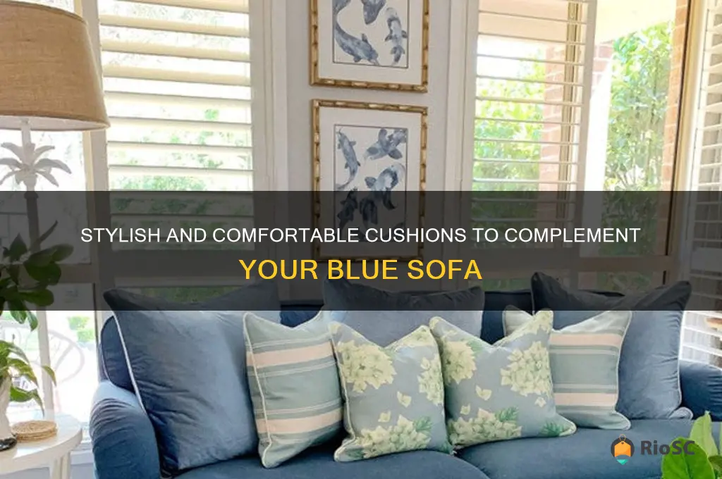 best cushions for blue sofa