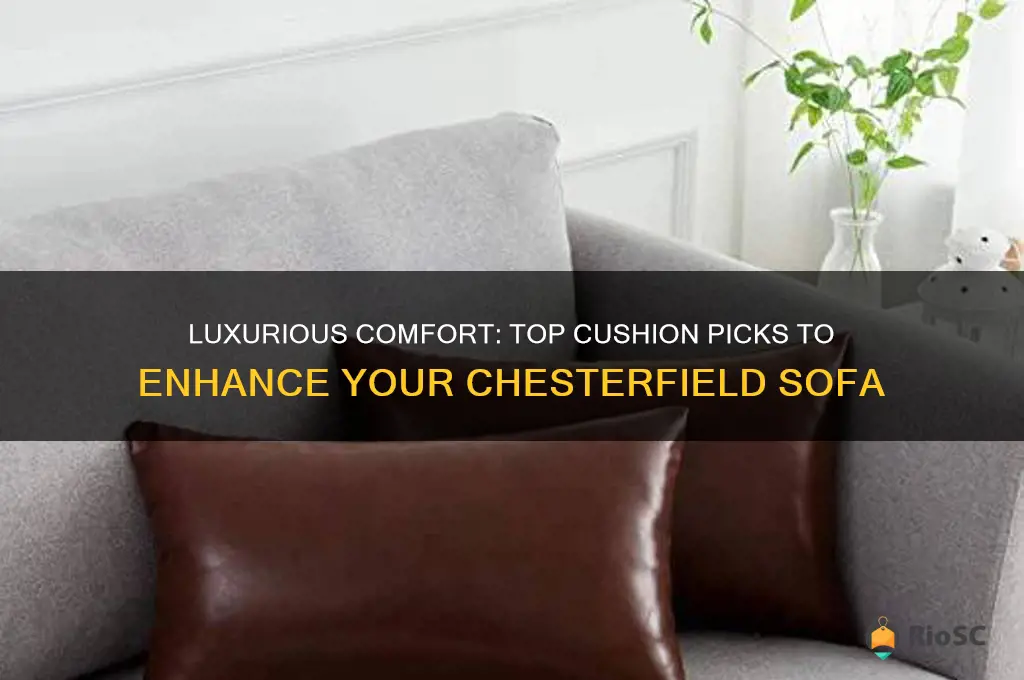 best cushions for chesterfield sofa