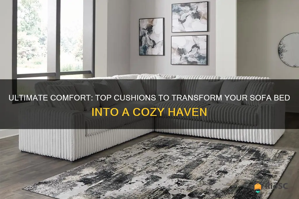 best cushions for sofa bed