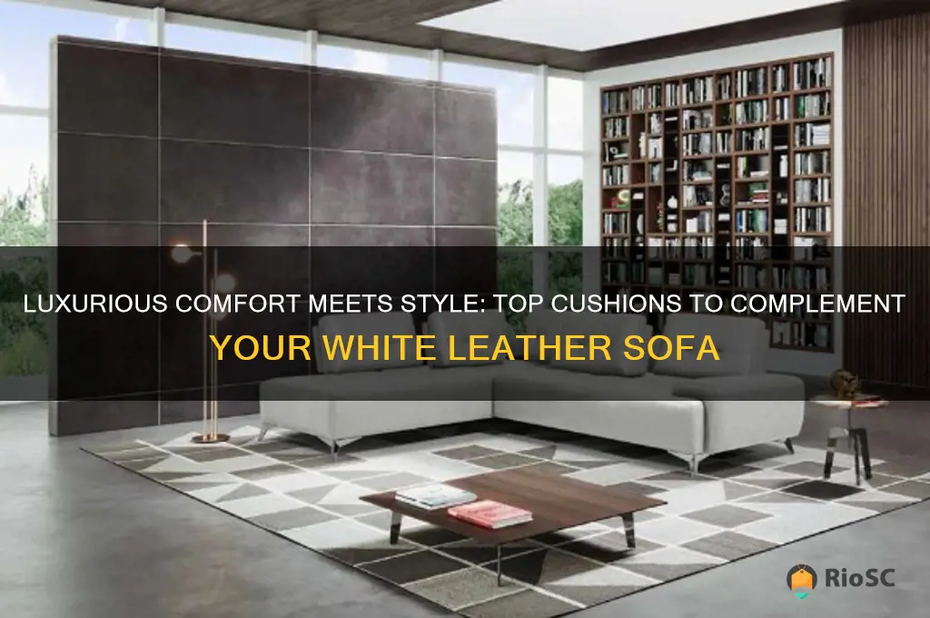 best cushions for white leather sofa