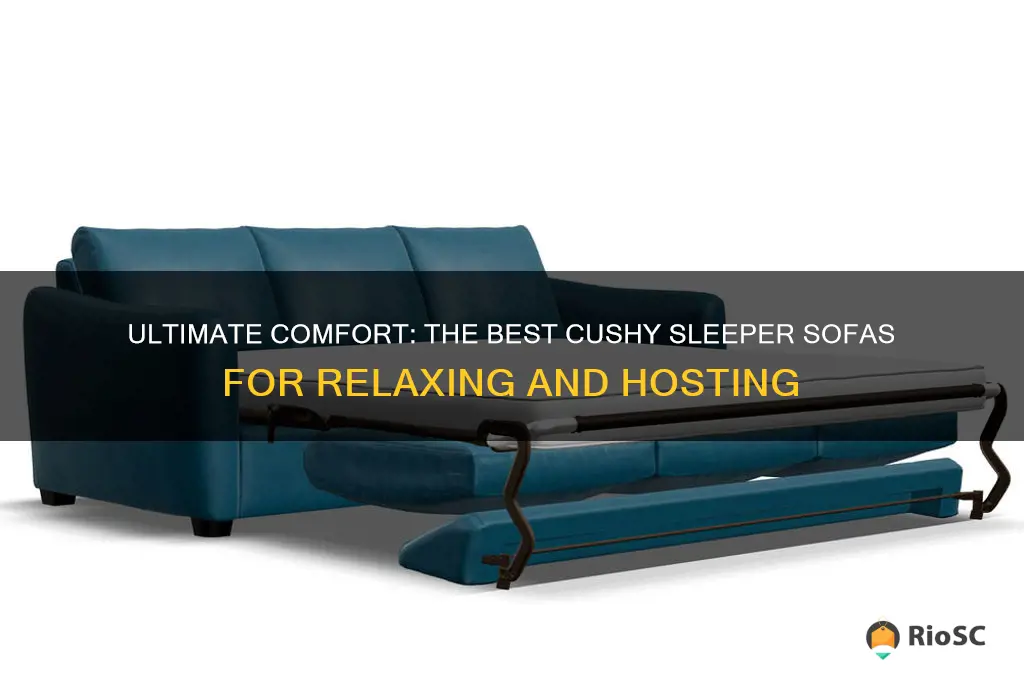 best cushy sleeper sofa