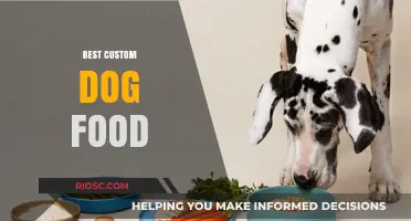Tailored Nutrition: Unveiling the Best Custom Dog Food Options for Your Furry Friend