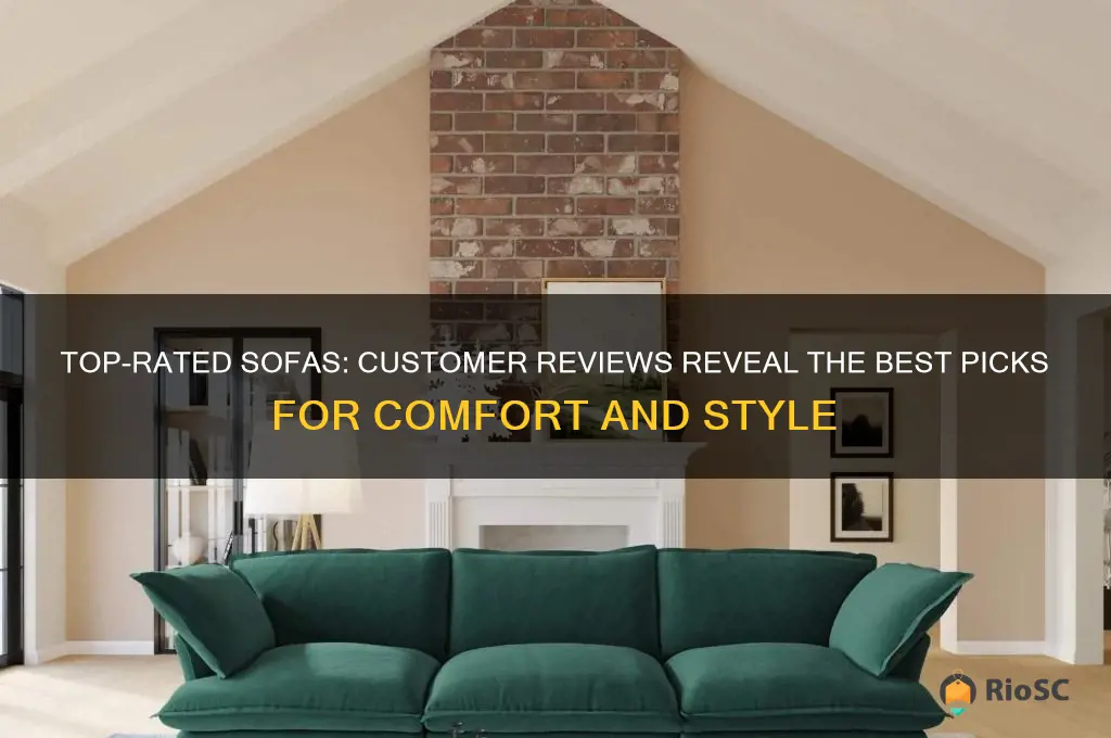 best customer reviews sofa