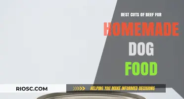 Top Beef Cuts for Wholesome Homemade Dog Meals