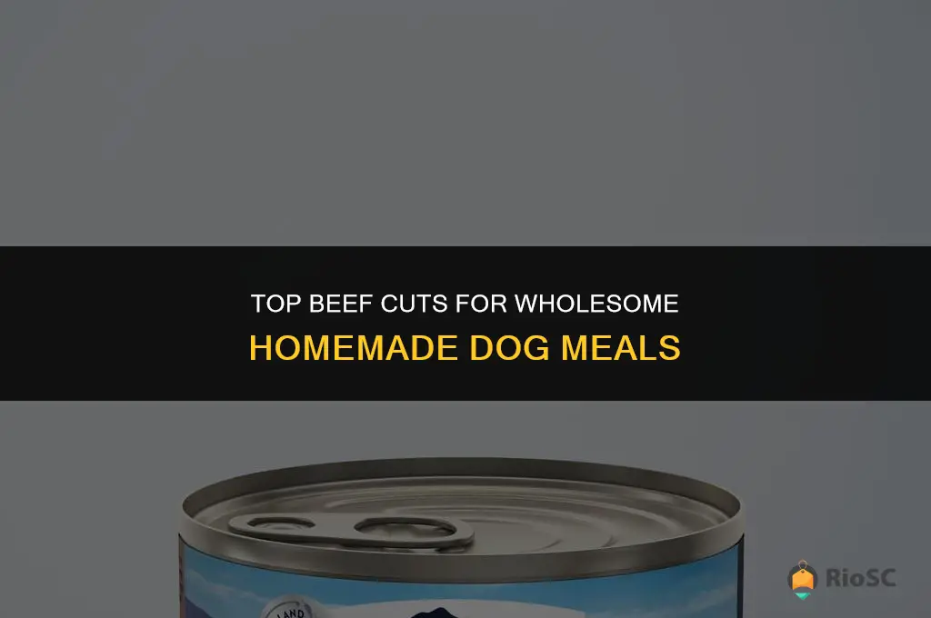 best cuts of beef for homemade dog food