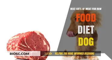 Exploring the Best Cuts of Meat for a Raw Food Diet for Dogs: A Comprehensive Guide