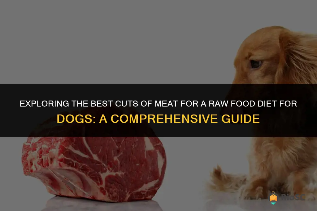 best cuts of meat for raw food diet dog