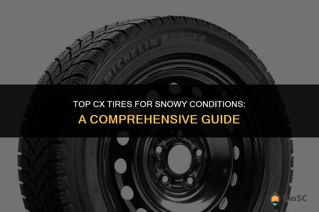 best cx tires for snow