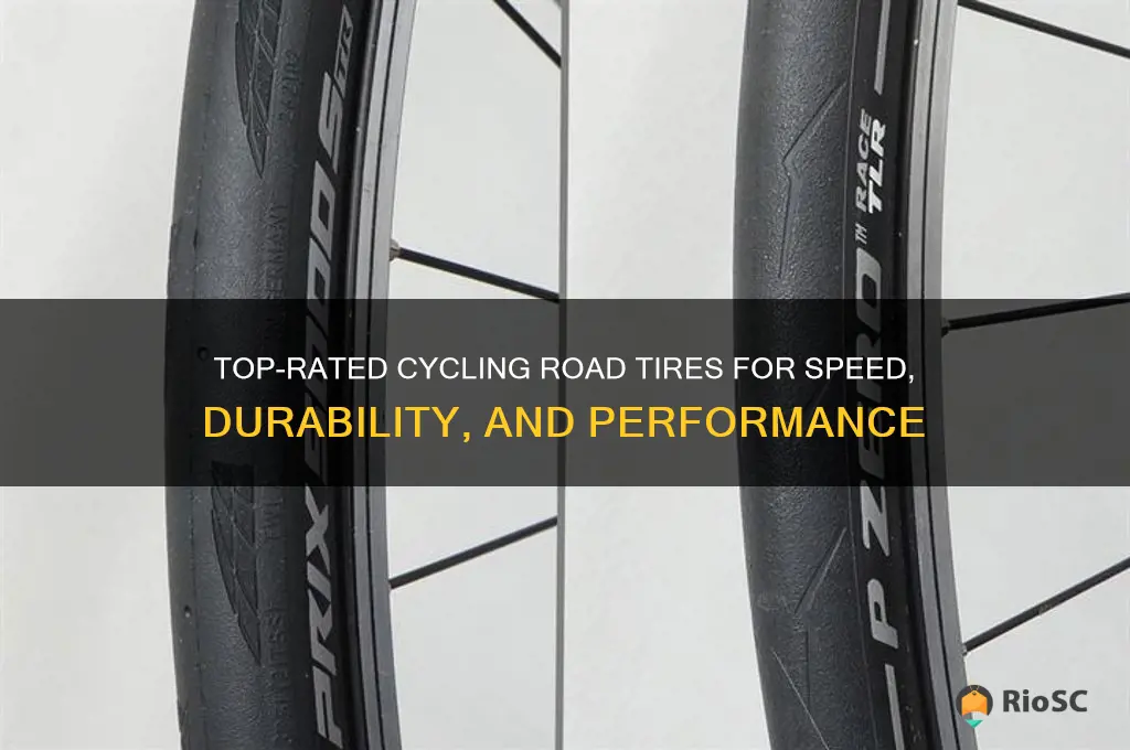 best cycling road tires