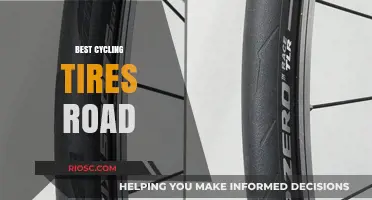 Top Road Cycling Tires for Speed, Durability, and Performance